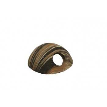 Colored coconut | Colorful iglù - Tana Ceramic Nature