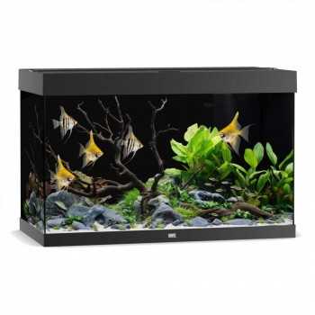 Acquario Rio 290 - Juwel