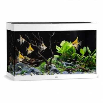 Acquario Rio 290 - Juwel 2
