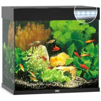 Aquarium de Lido 120 LED - Juwel 2