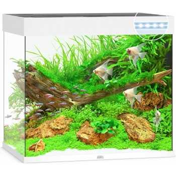 Lido 200 aquarium - Juwel
