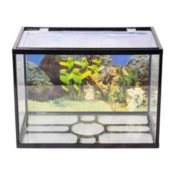 AQPET un mini aquario en verre complet 20 litres 2