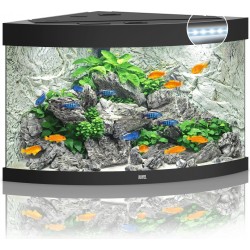 Aquarium Trigon 190 LED - Juwel