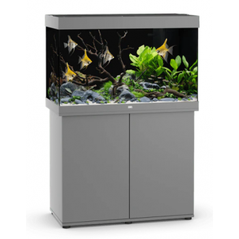 Aquarium and Mobile Rio 290 - Juwel 2