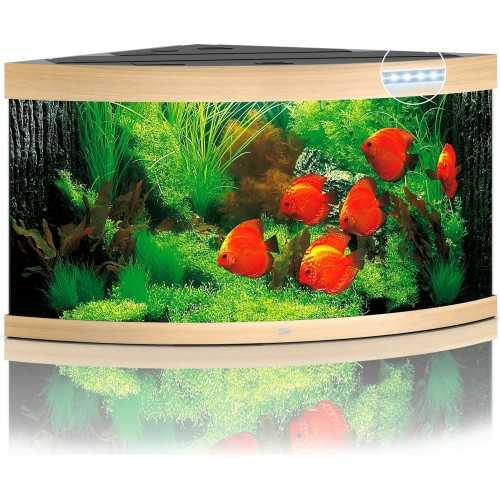 Acquario Trigon 350 Led - Juwel