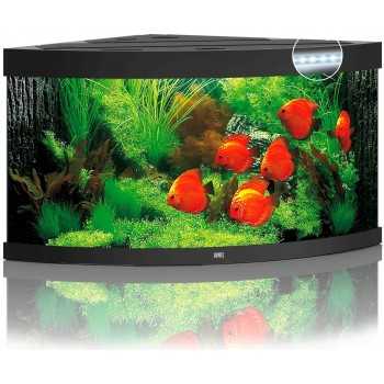 Acquario Trigon 350 Led - Juwel 2