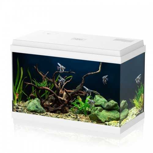 Simply Led 60 Acquario completo - Aqpet