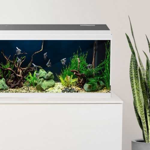 Simply LED 60 Complete aquarium - AQPET