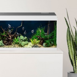 Simply LED 60 Complete aquarium - AQPET