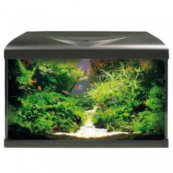 AMTRA Tank-System V2 60 Black LED