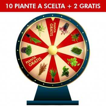 Kit 10 plantes choisies par l'expert +2 usines libres -...