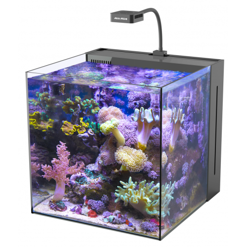 Yasha 60 Nano Reeftank, acquario marino -...