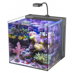 Yasha 60 Nano Reeftank, acquario marino - Aquamedic