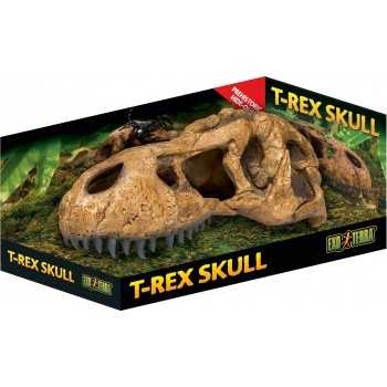 Crâne T-Rex, cachette pour les reptiles et les amphibiens...