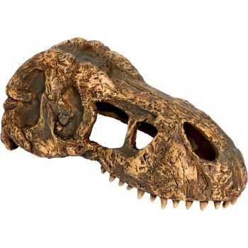 T-Rex skull, hideout for reptiles and amphibians - EXO land 2
