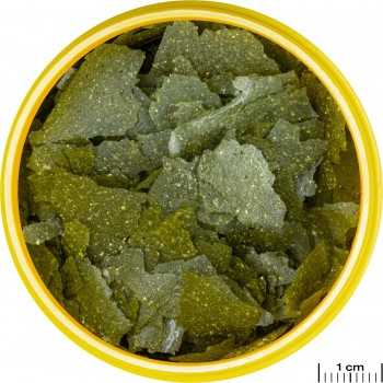 Spirulina JBL 100 ml 2