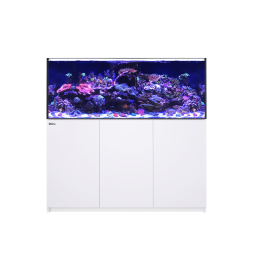 Red Sea Reefer G2 + XXL 625 (150x65x60h cm) -...