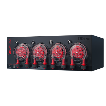 Red Sea Reef Dose 4 canali - pompa dosometrica con...