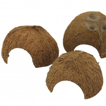 Noce di cocco tana per pesci | METÁ NOCE DI COCCO -... 2