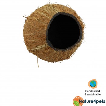 Noix de coco Tana pour poisson | Coconut trois quarts de...