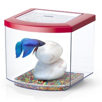 Bettacub 8 liters 20cm in glass - Aquatlantis
