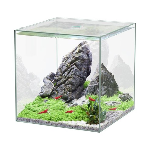 Kubus 10 liters 22cm in glass - Aquatlantis