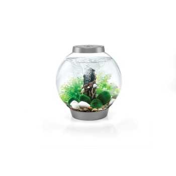 BIORB decoration set FAIRY - Oase 2