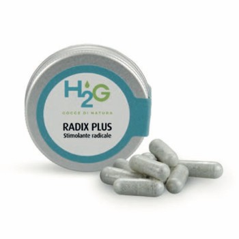 Radix Plus, promoteur de croissance radical - H2G
