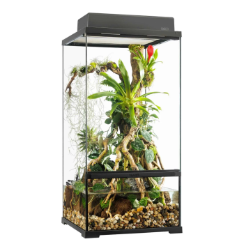 Pro Paludarium Petit X-Tall - EXO TERRE 2