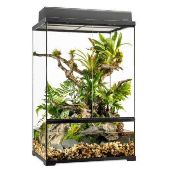 PRO Paludarium Medium X-Tall - EXO TERRE 2