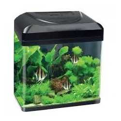 Acquario Billy 16 Blu Bios a LED 2
