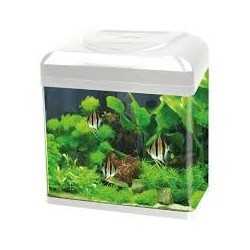 Acquario Billy 16 Blu Bios a LED
