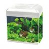 Acquario Billy 16 Blu Bios a LED
