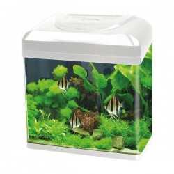 Aquarium Billy 45 litres Blu Bios LED