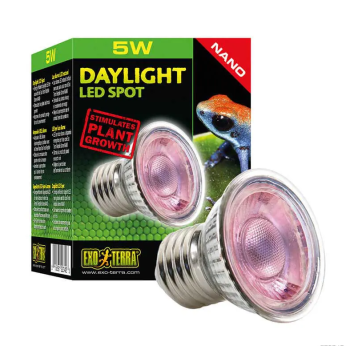 Daylight Led Spot Nano 5W, lumière de lumière menée avec...