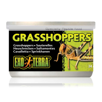 Grasshoppers (grasshoppers), canned food for turtles -...