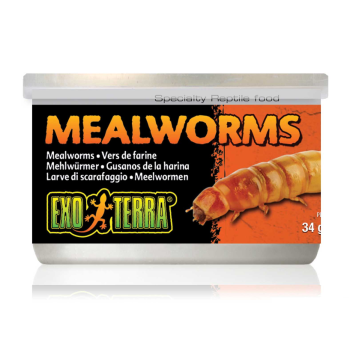 Mealworms, cibo in scatola per rettili insettivori e...