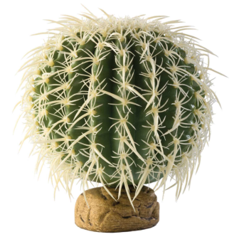 Cactus de tonneau Grande Plante de plancher du désert -...