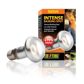 Spot de brando intense, lampe de chauffage pour terrarium...
