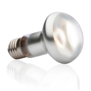 Spot de brando intense, lampe de chauffage pour terrarium... 2