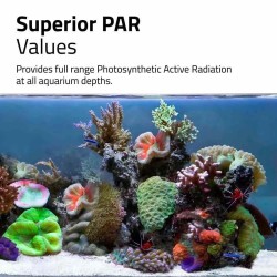 Fluval Reef 4.0 Nano Led Ceiling Led for Small Marine Aquariums - Askoll