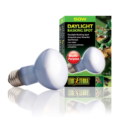 Sun Glo Néodyme, lumière du jour avec une...