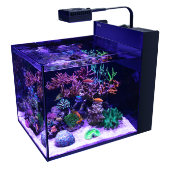 Max Nano G2 Peninsula, senza supporto - Red sea