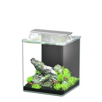 Kubus Curve 20L Essential Aquarium set with filter and...