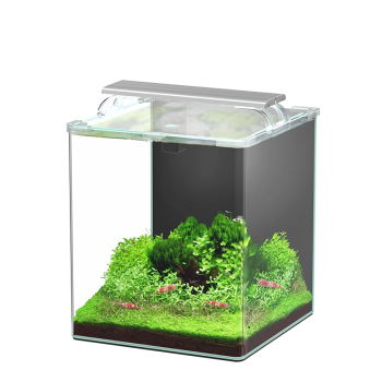 Kubus Curve 30L Essential Aquarium set with filter and...