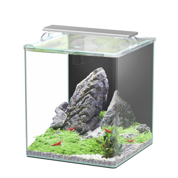 Kubus Curve 44L Essential Aquarium set with filter and...
