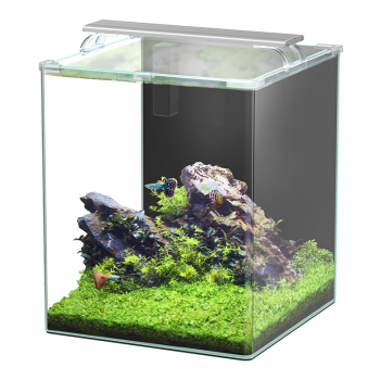 KUBUS CURVE 65L ESSENTIAL set acquario con filtro e luce...