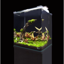 Mobile pour Kubus Curve 44L (Support pour Aquarium) - Aquatlantis