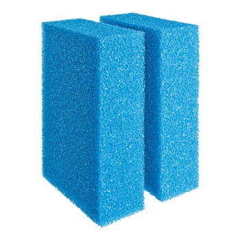 kit de deux oasis d'éponge bleue pour Biotec...