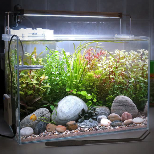 Nano Acquario 9 litri - piccolo acquario in...